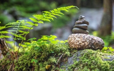 Yoga & Wandern│mit Lisa Merlau│04.-06. Oktober 2024